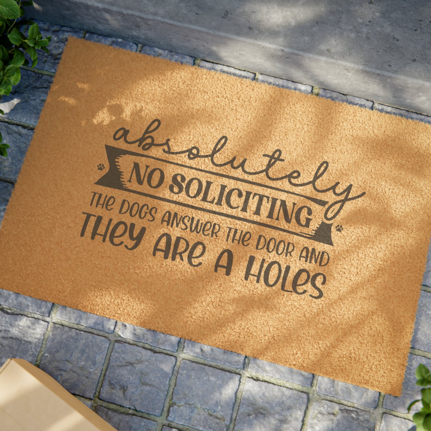 Absolutely No Soliciting Doormat