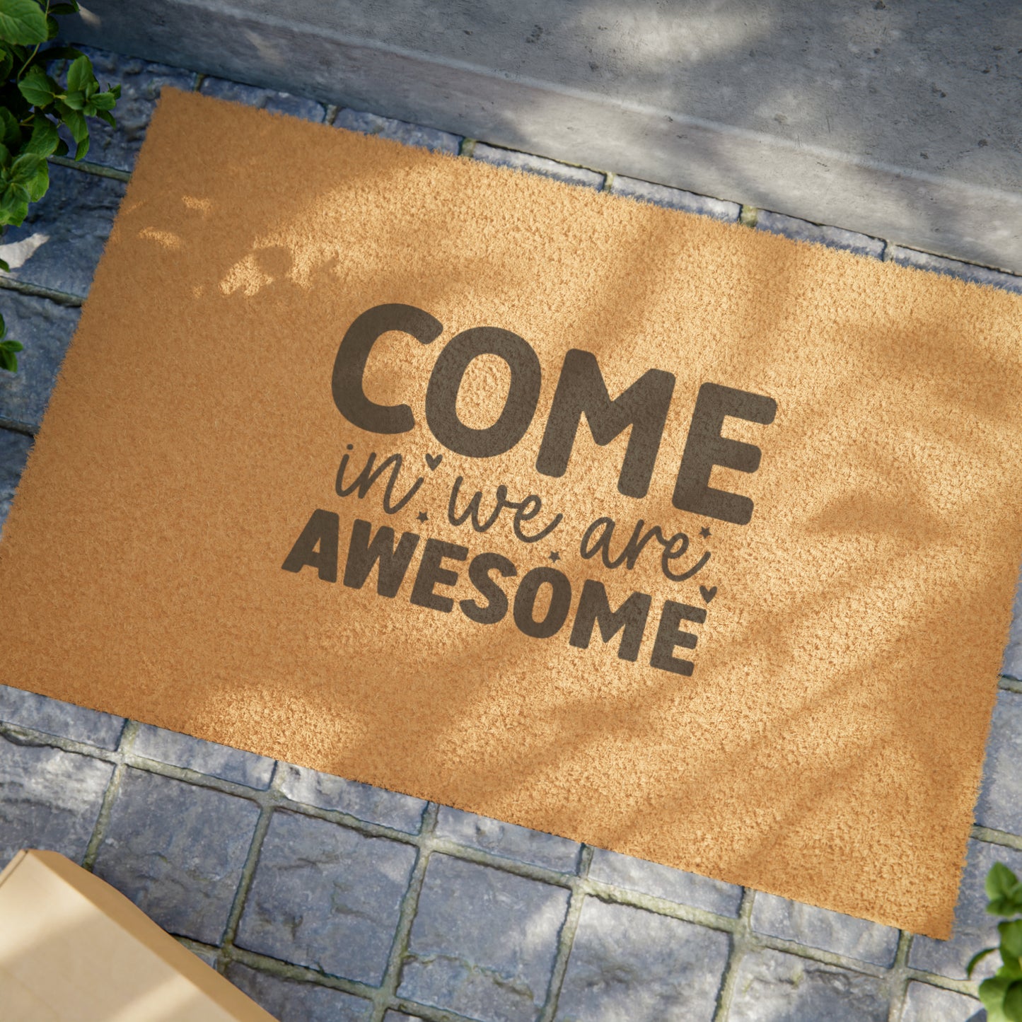 Come In  We Are Awesome Doormat